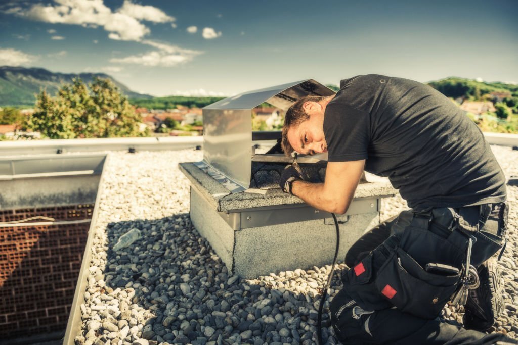 Chimney Inspection Professional